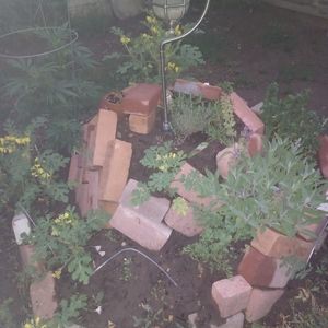 Meet your Posher, Rosa